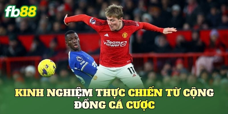 Kèo Đánh Ngược Nhà Cái Là Gì? Cách Nhìn Kèo Chuẩn 3 Kinh nghiệm thực chiến từ cộng đồng cá cược