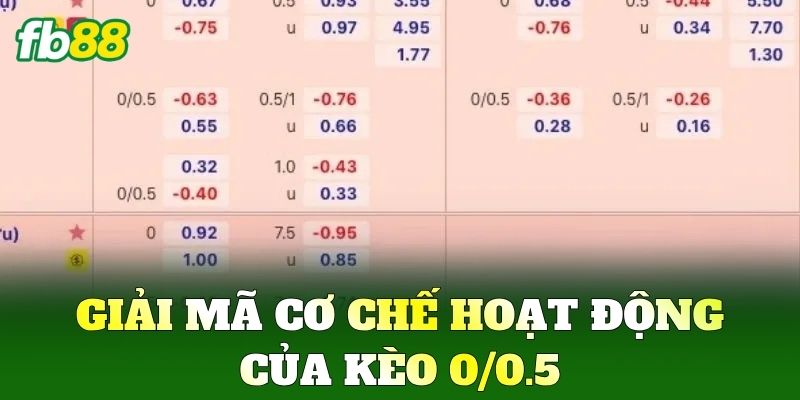 Giải mã cơ chế hoạt động của Kèo 0/0.5