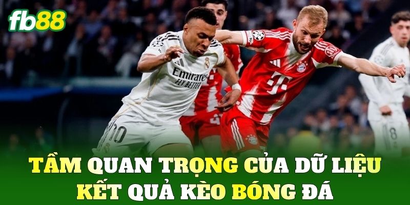 Tầm quan trọng của dữ liệu Kết Quả Kèo Bóng Đá