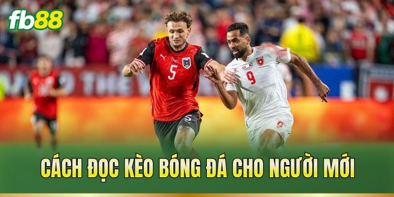 Cách đọc kèo bóng đá cho người mới