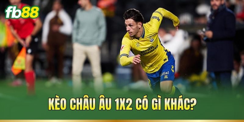 Kèo châu Âu 1X2 có gì khác?