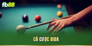 Cá Cược Bida