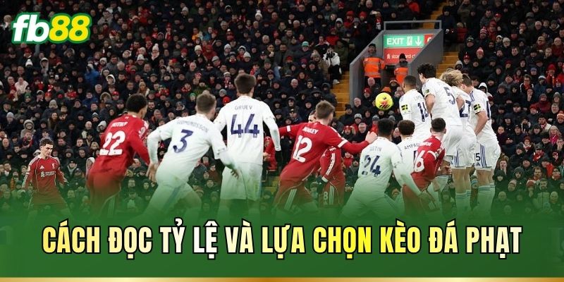 Cách đọc tỷ lệ và lựa chọn kèo đá phạt