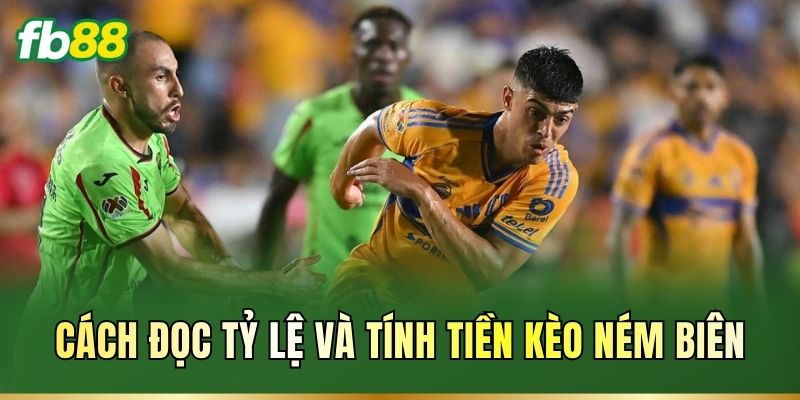 Cách đọc tỷ lệ và tính tiền kèo ném biên