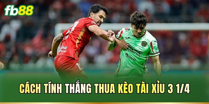 Tài Xỉu 3 1/4 Là Gì? Kèo Bóng Thu Hút Cược Thủ Tại FB88 2 Cách tính thắng thua kèo Tài Xỉu 3 1/4