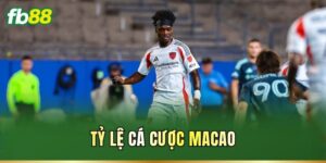 Tỷ Lệ Cá Cược Macao